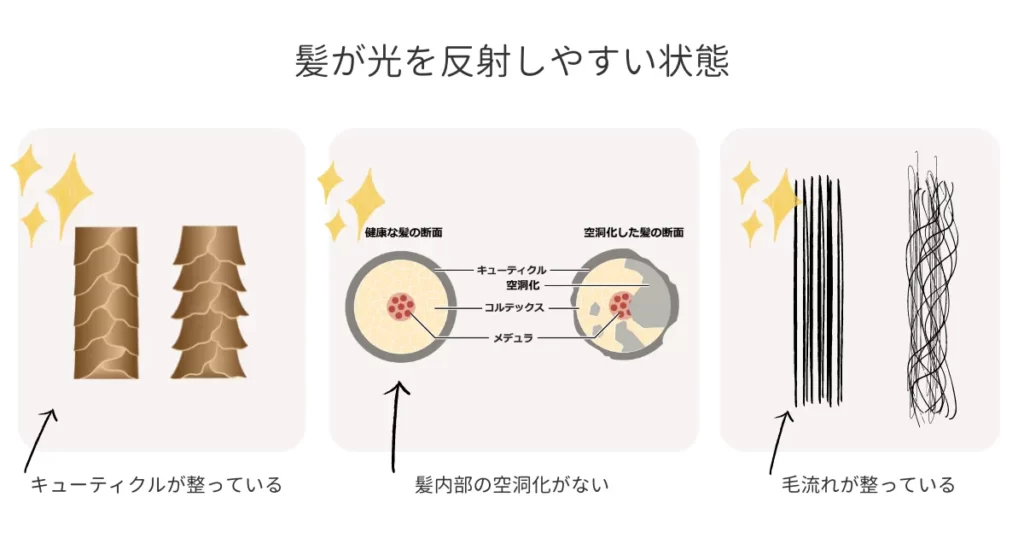 光が髪を反射しやすい状態