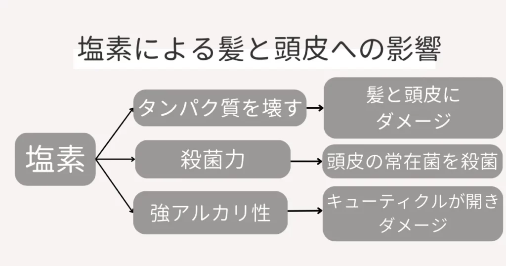 塩素による髪と頭皮への影響